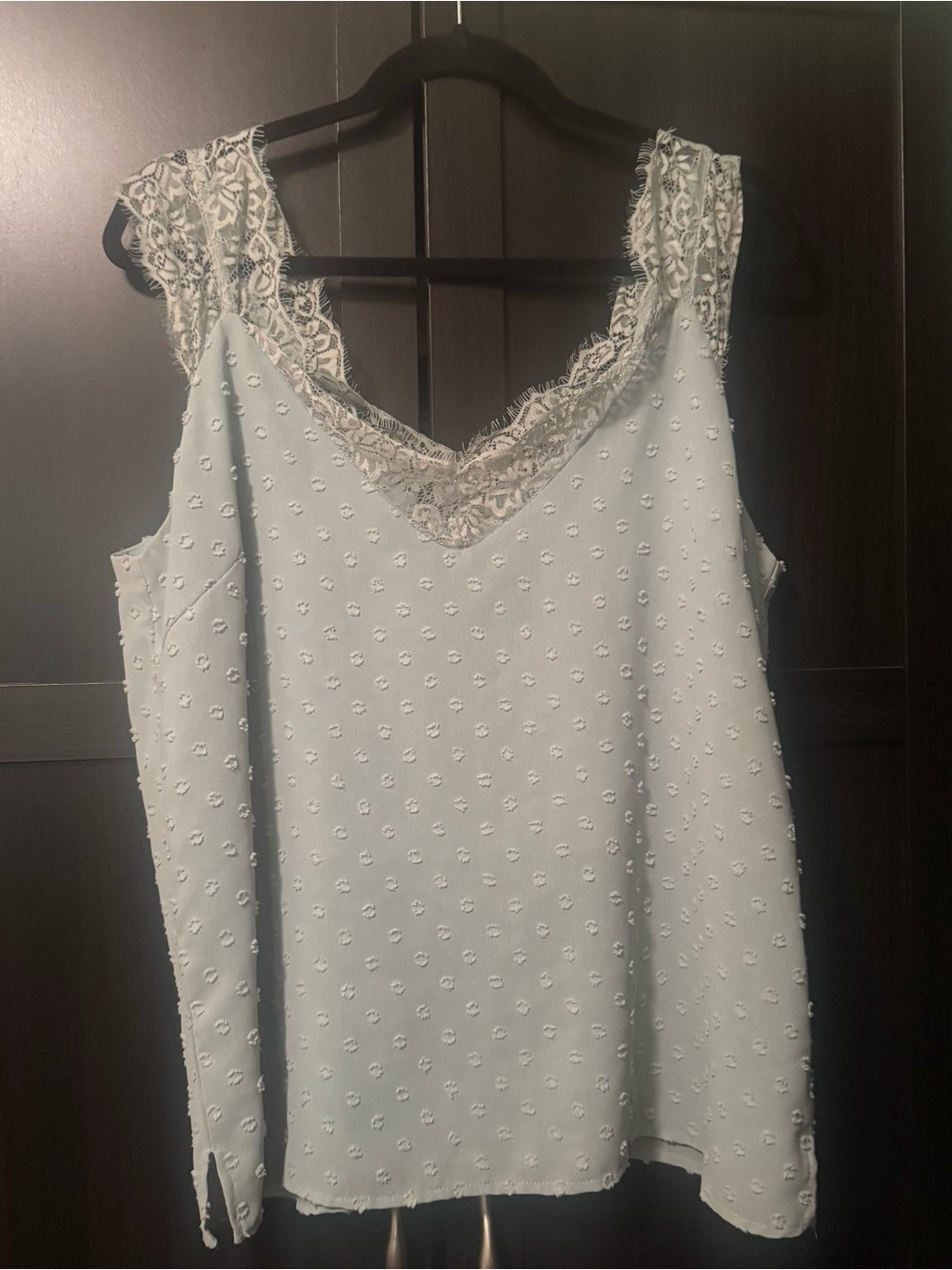 Umgee Pale Blue Lace Trim Embroidered V-Neck Camisole